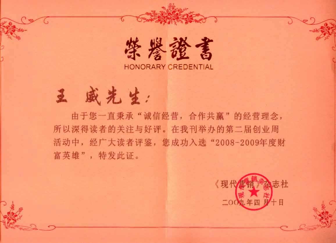 2008-2009年度財富英雄 2008-2009年度財富英雄